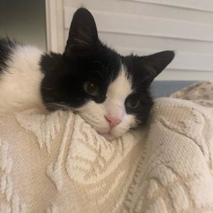 Meet your Posher, Natalie